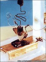 bell transistor
