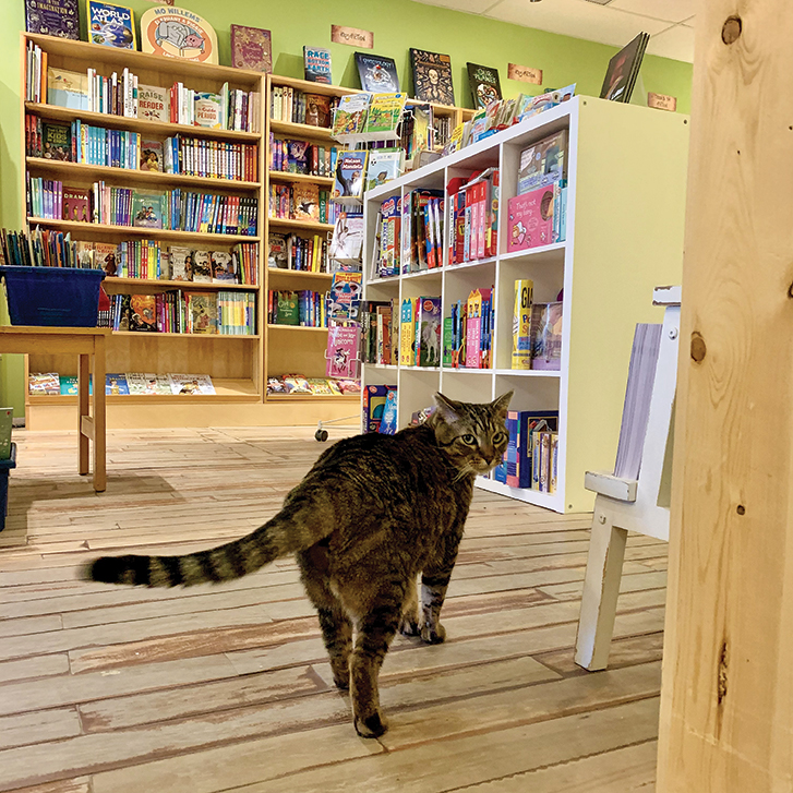 Huckleberry Books