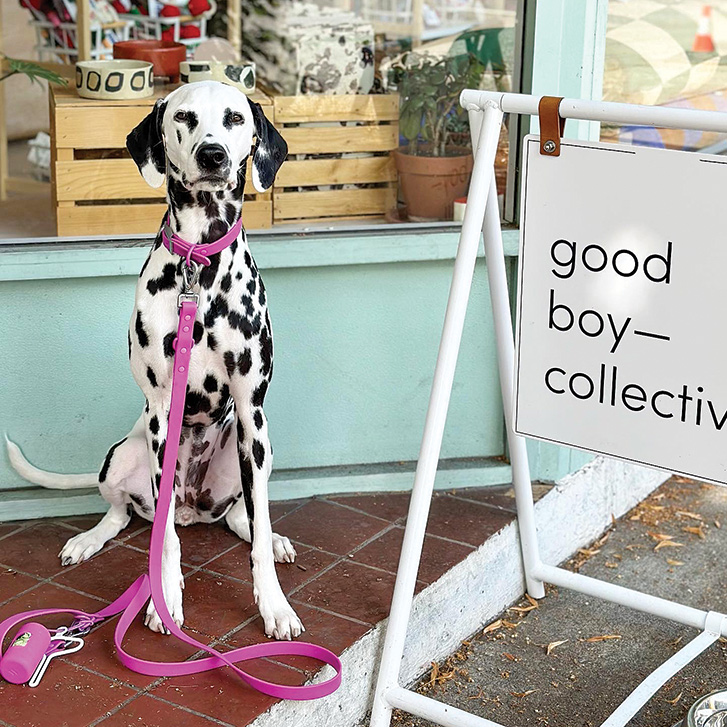 Good Boy Collective