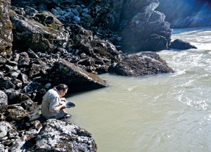 BC gold panning