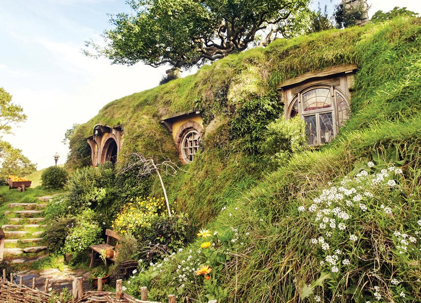 Hobbit Village in Hobbiton