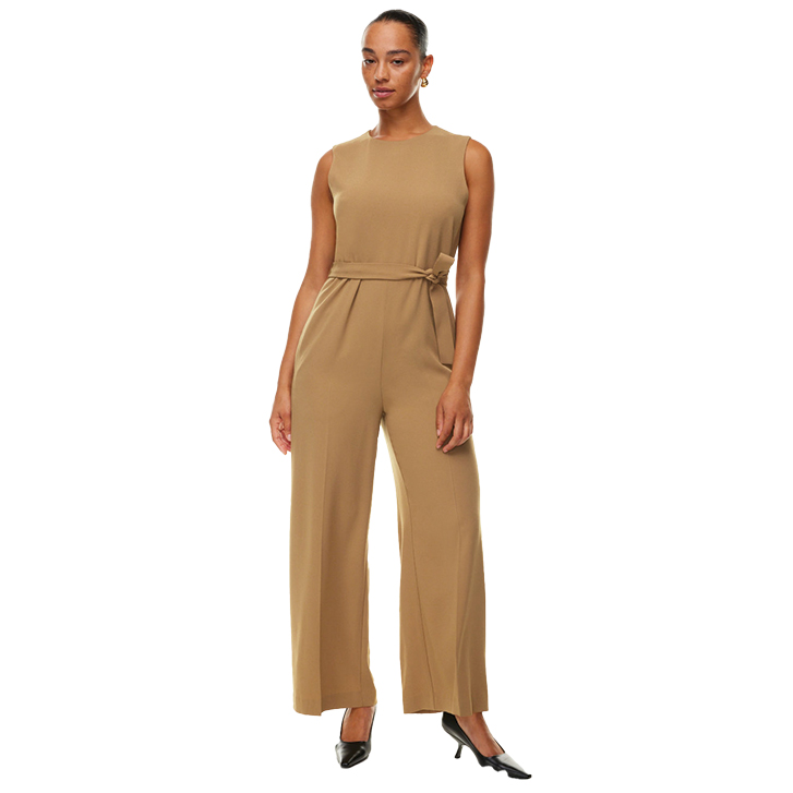 Aritzia Office jumpsuit