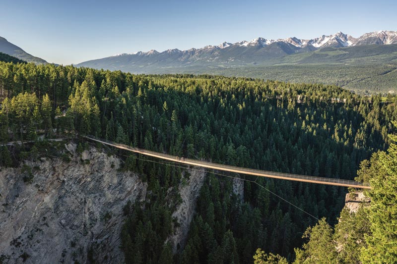 Golden Skybridge