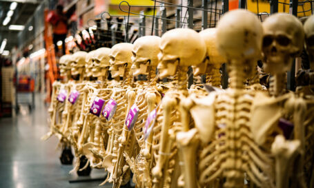Halloween skeletons lined up