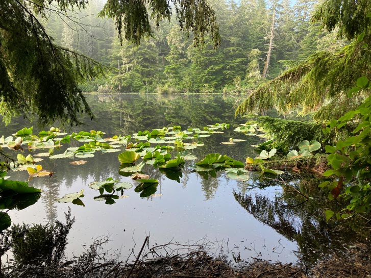 Sointulia Local Summer Getaway: A Weekend in Sointula - BCBusiness
