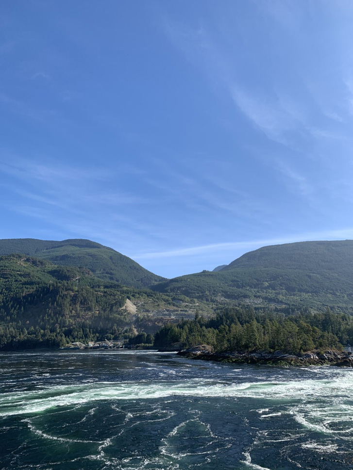 Local Summer Getaway Explore Bioluminescent Kayaking on the Sunshine